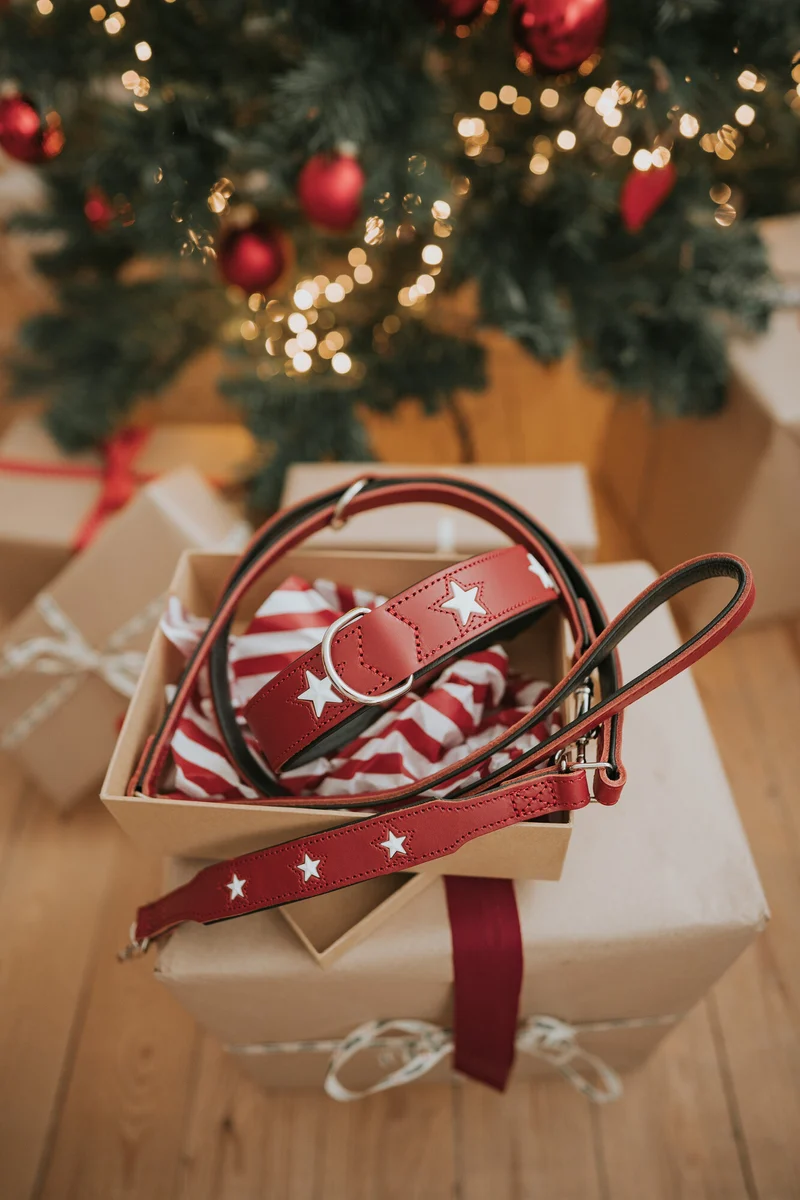 MAGIC STAR Set Halsband & Leine | rot