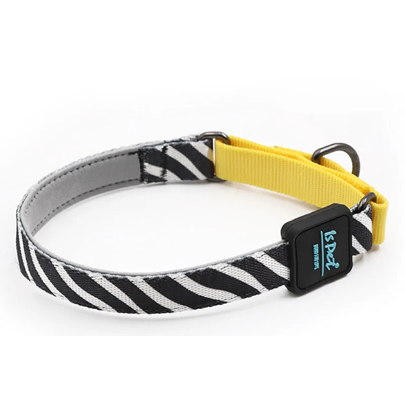 Collare Cane con Catena in Poliestere Resistente
