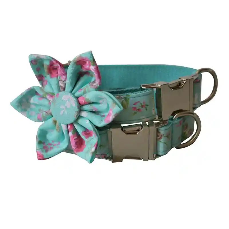 Set Collare e Guinzaglio Cani Spring - Azzurro Fiorellini