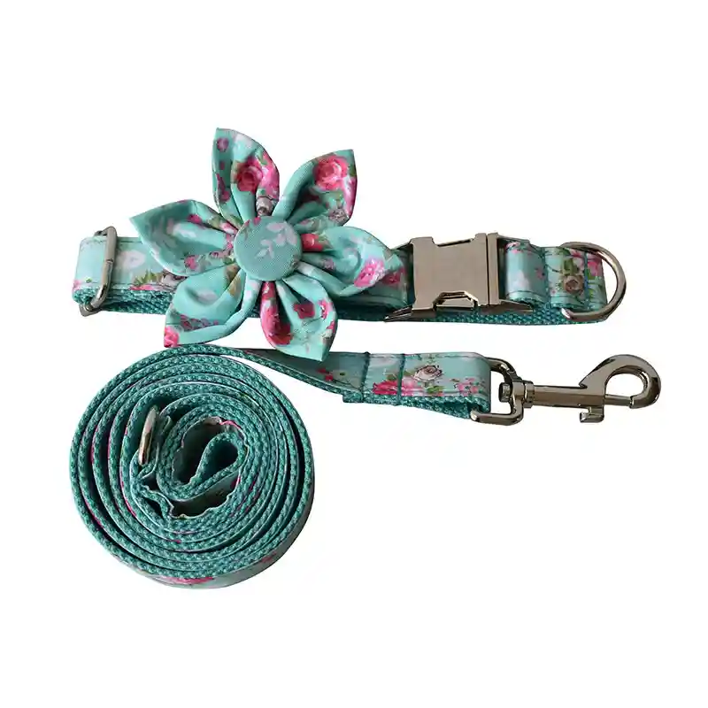 Set Collare e Guinzaglio Cani Spring - Azzurro Fiorellini