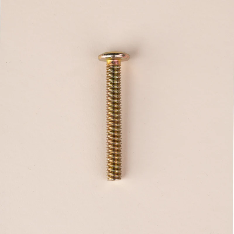Schroef M6 x 35 mm