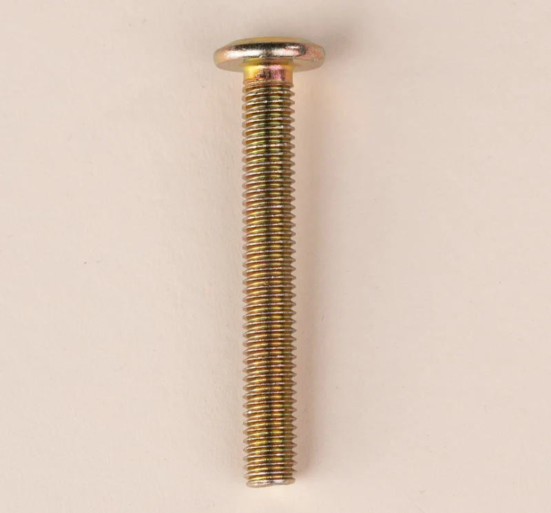 Schroef M8 x 60 mm