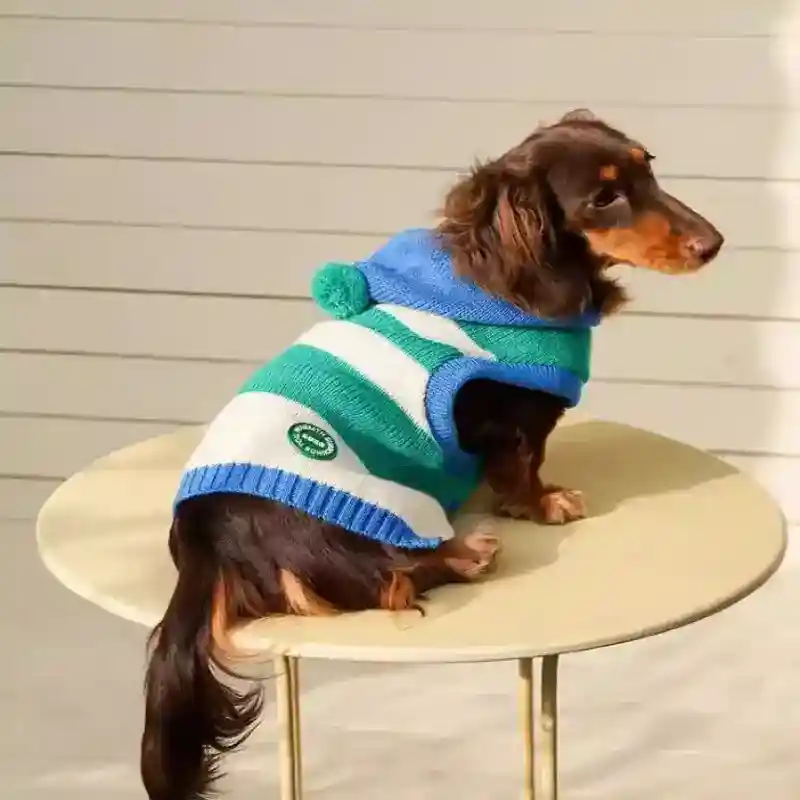 Maglione Cani Cappuccio Peaks - Righe Blu Caldo