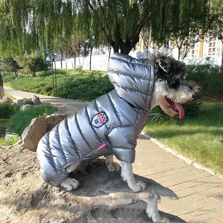Cappotto Impermeabile Cani 4 Zampe Graffiti con Cappuccio