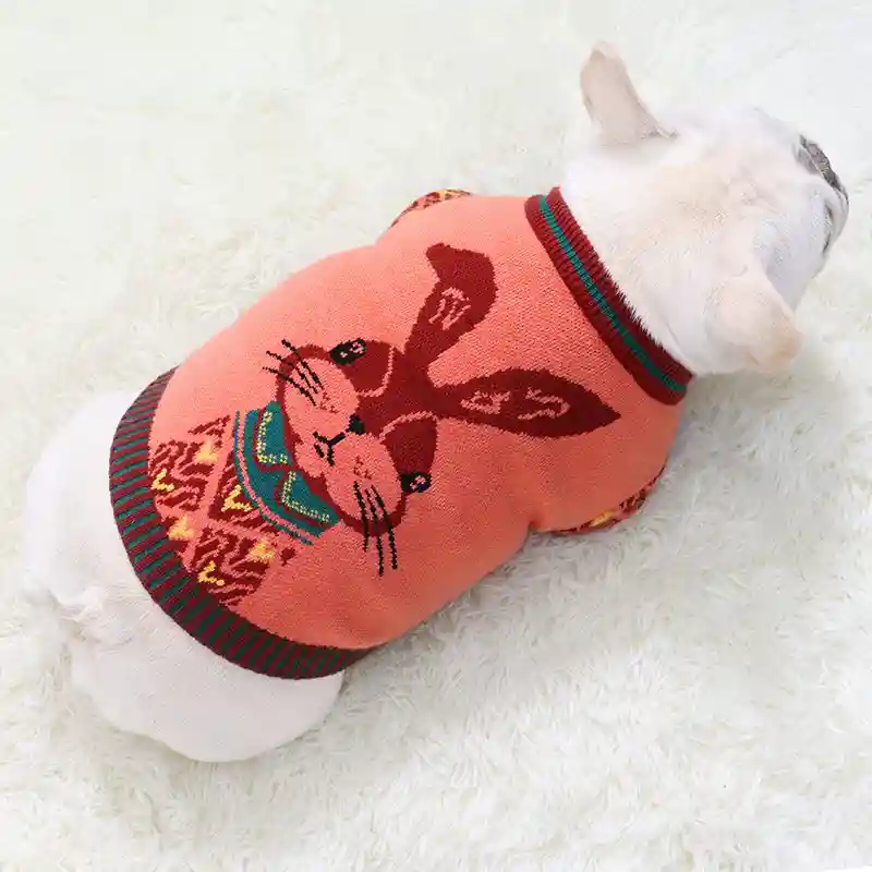 Maglione Cani Bunny Coniglietto - Cotone Nordico