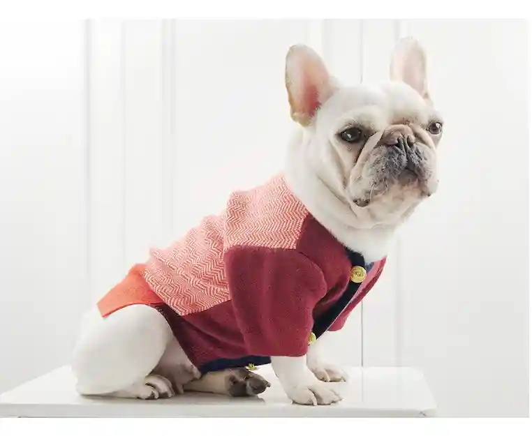 Maglione Bulldog Bottoni - Rabbit Fleece Caldo