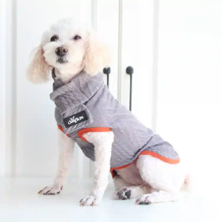 Maglione Cani Swiss con Sciarpina - Treccia Caldo
