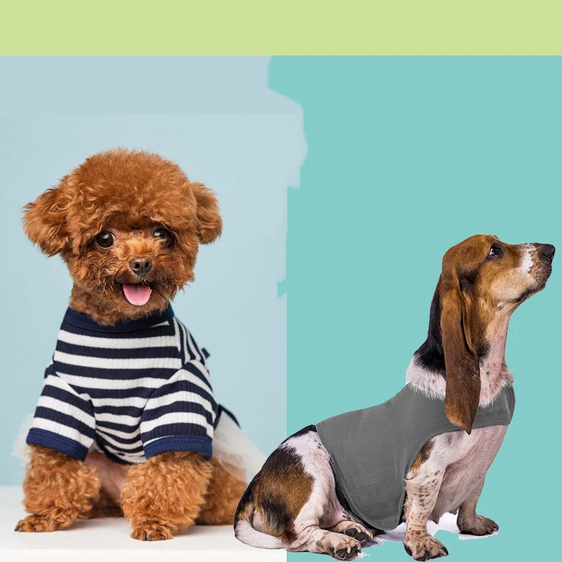 Gilet Anti-Ansia Terapeutico per Cani XS-XL + Giocattolo