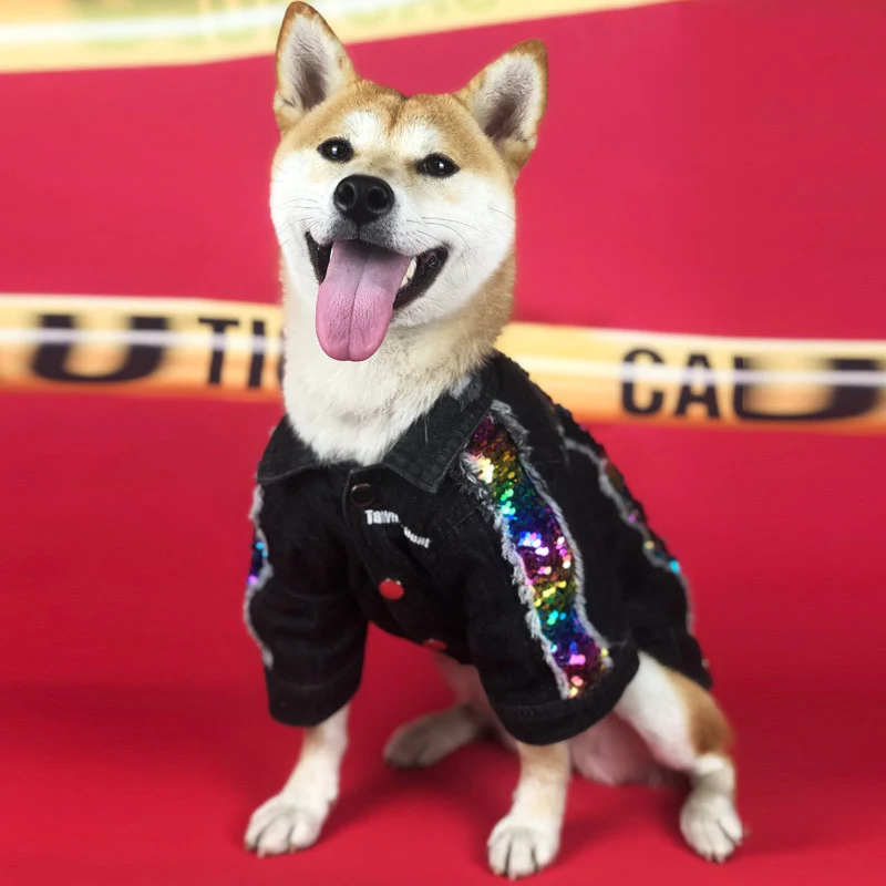 Giacca Denim Paillettes Arcobaleno per Cani S-XXL
