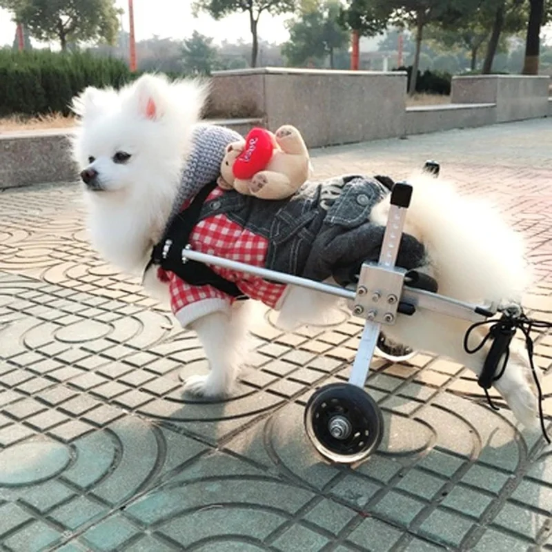 Carrozzina per Cani Piccoli Completamente Regolabile – Sedia a Rotelle Ortopedica XXS/XS/S