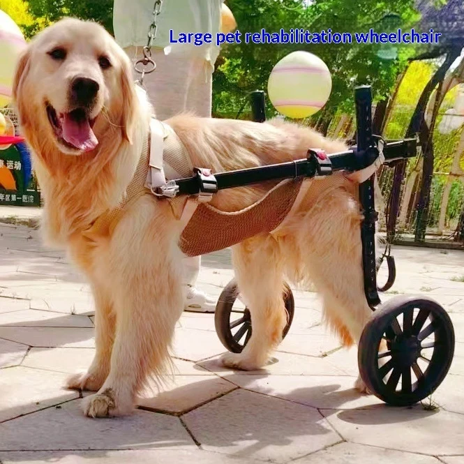 Carrozzina Riabilitativa per Cani Grandi – Sedia a Rotelle Ortopedica Zampe Posteriori