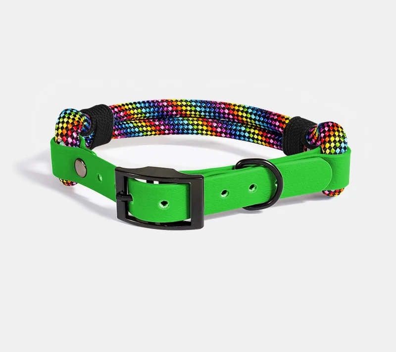 RINGHIO Collare Smile Col. RUBIK per Cani