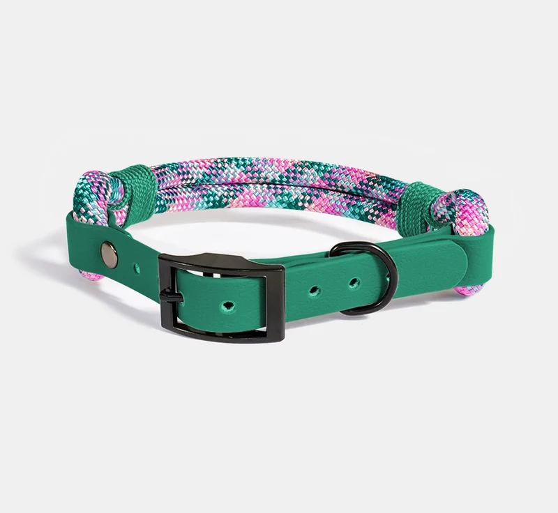 RINGHIO Collare Smile Col. KELSA per Cani