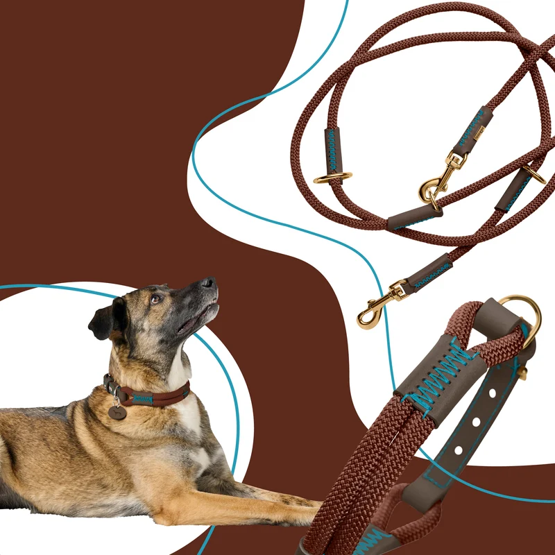 MALIA Set Halsband & Leine | schokobraun