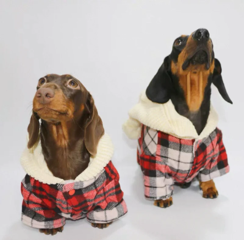 Cappotto per Cani Plaid Rosso con Cappuccio e Pompon