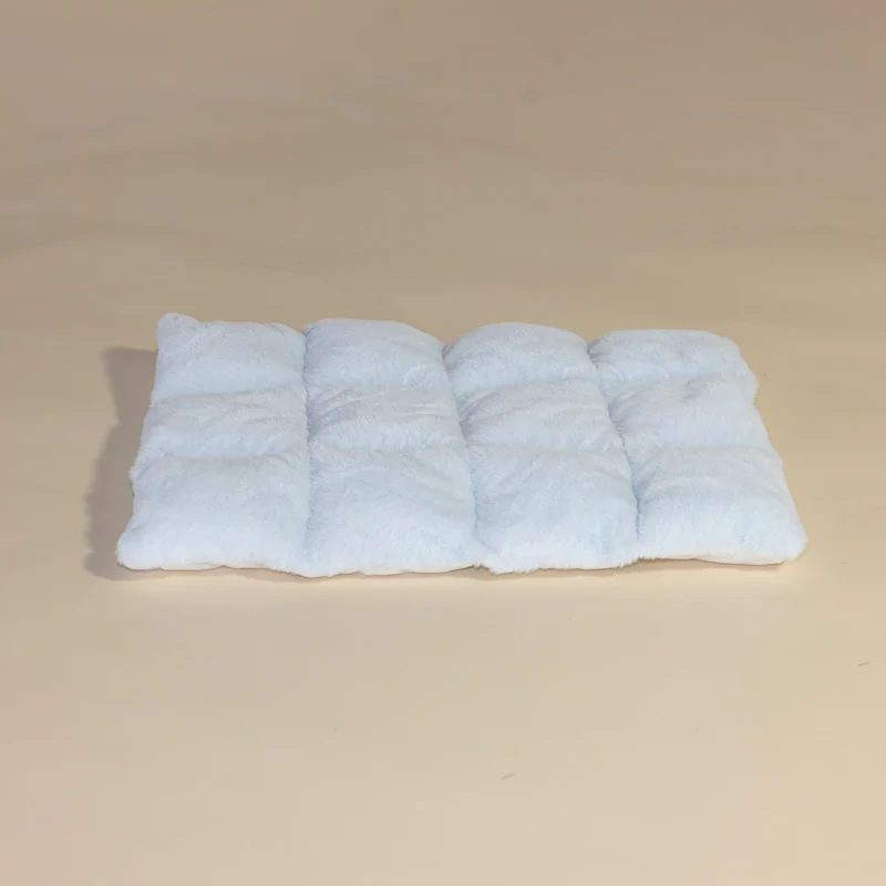 Blue Teddy Kussen, voor de Lounge Ligplaats