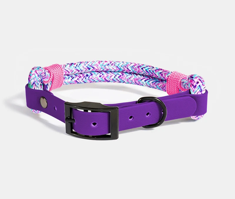RINGHIO Collare Smile Col. FLAMINGO per Cani