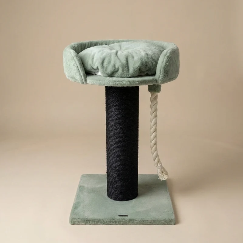 Krabpaal Chartreux Blackline (Pistache Teddy)
