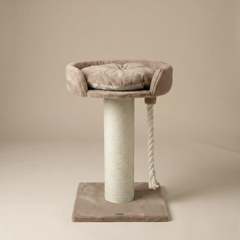 Krabpaal Chartreux (Cappuccino Teddy)