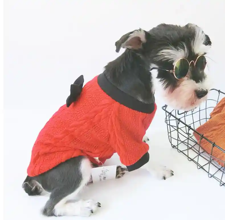 Maglione per Cani Rosso con Fiocco - Lavorazione Treccia
