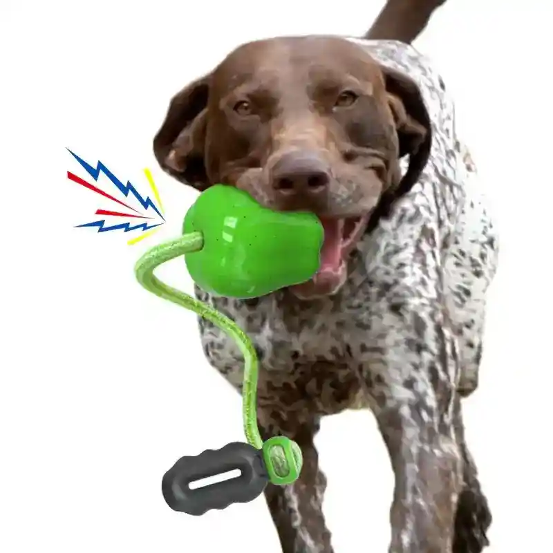 Gioco Corda Mela per Cani - Resistente e Atossico