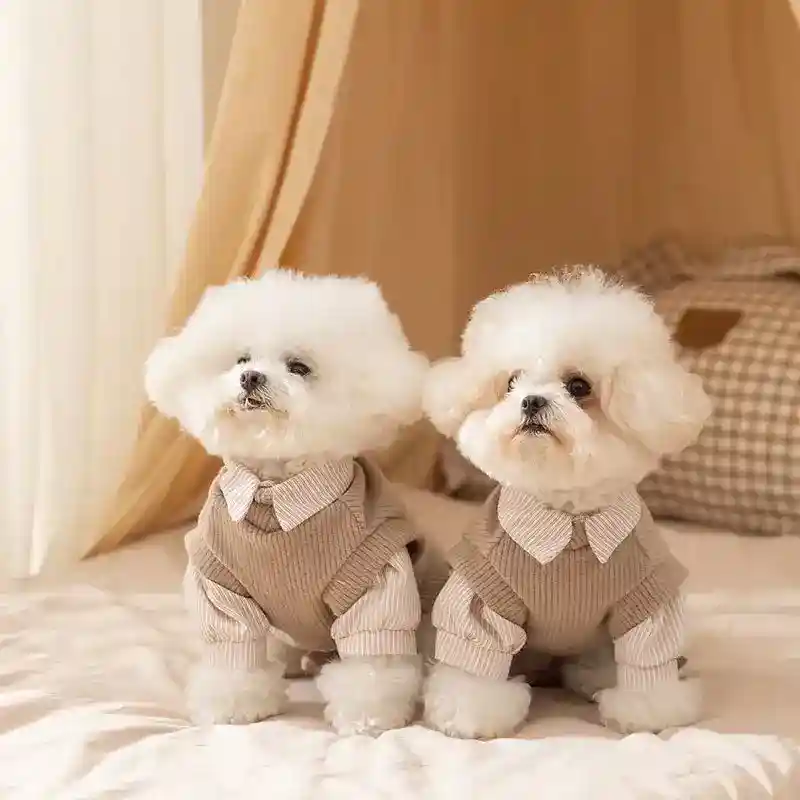 Maglione Preppy Stratificato per Cani - Elegante Velluto