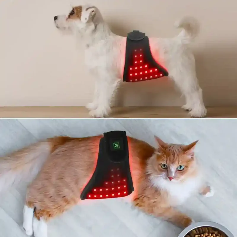 Fascia Fisioterapica LED Rosso Cani Gatti Ricaricabile