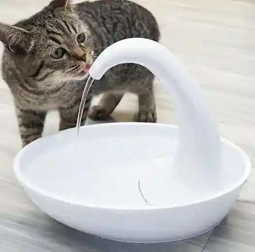 Fontanella USB per Gatti e Cani con 3 Filtri Inclusi