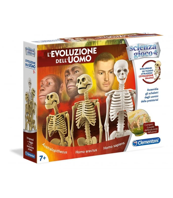 L'Evoluzione Dell'Uomo