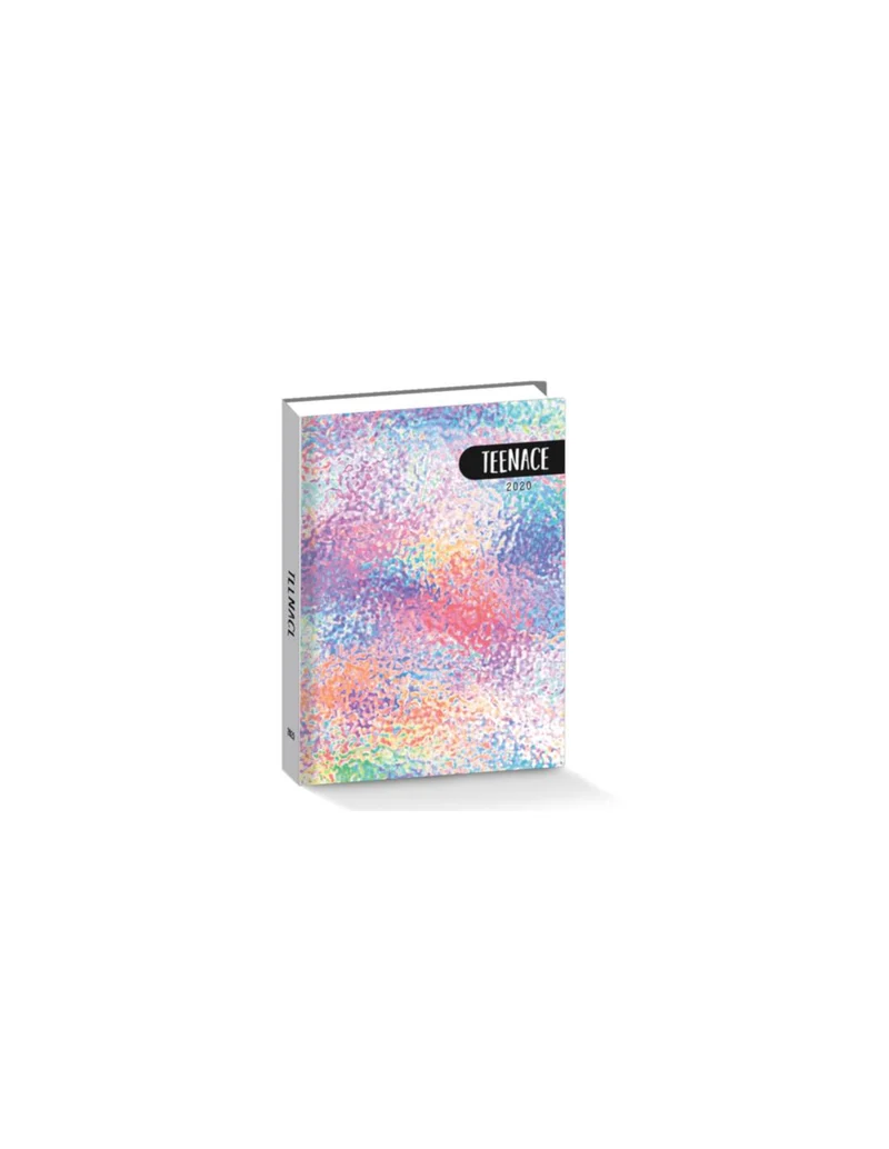 Diario Standard 12 Mesi Teenace Argento Multicolore
