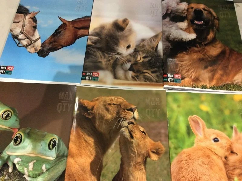 Quadernone Animali Rigo A