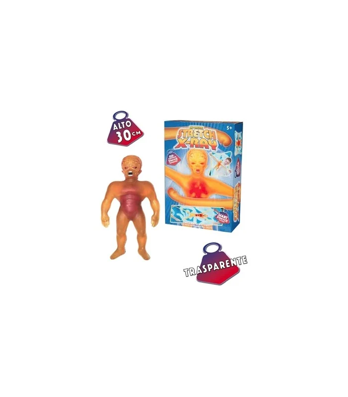Mister Muscolo - X-Ray